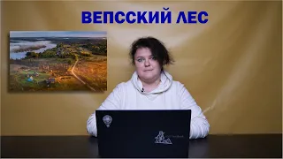 Вепсский лес