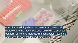 The birth environment's effects on microbiome colonization and intestinal development