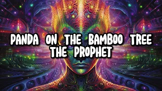 Panda On The Bamboo Tree - The Prophet | Chill Space