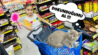 KEDİMİZ BÜCÜR İLE DOKUNDUĞUNU AL !! KIRTASİYE CHALLENGE !!