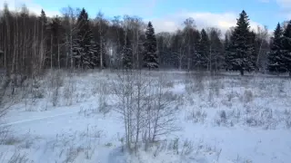 Прогулки по зимнему лесу , зимний лес в Подмосковье , катание с горки , катание на санках , елка