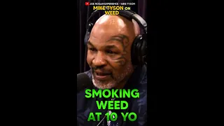 Mike Tyson & WEED | Joe Rogan - Joey Diaz