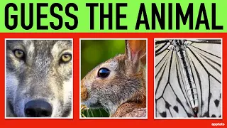 Guess the Animal Quiz #5 | Name all the Animals by Closeup Guessing Game | Family Trivia Game Night