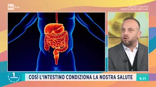 Forma scadente: curiamo l'intestino - Unomattina 21/01/2021