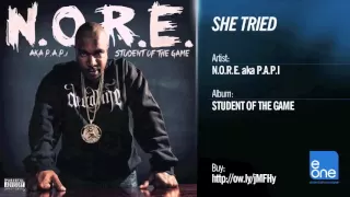 N.O.R.E. aka P.A.P.I. "She Tried"