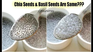 Chia Seeds & Basil Seeds (Sabja) Are The Same? - Quick Weight Loss With Chia Seeds - Health Ben