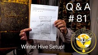 Backyard Beekeeping Questions and Answers #81 my winter hive setup and more! Spot The Varroa!