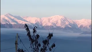 ნიაზ დიასამიძე - თუშური / Niaz Diasamidze - Tushuri