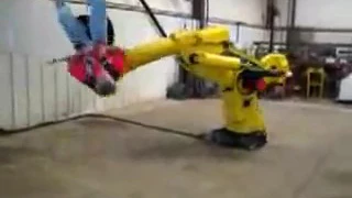 Fanuc - Robot Ride