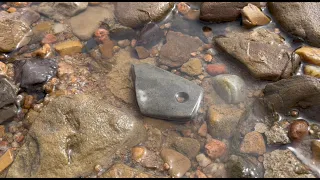 Arrowhead Hunting: My Best Find Of The Year So Far (2023)