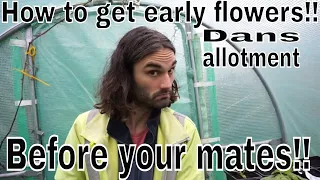 How to get early flowers!! Get your Spring and Summer flowers first! Dans allotment show!!