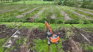 REFORESTATION IN CORK MAY 2024