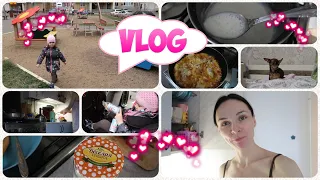 VLOG: Завтрак в выходной день / Каникулы / Наглый кот / OrenMama Vlog