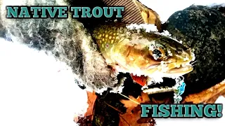 Native Trout Fishing with Inline Spinners!