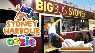 Big Bus Adventure | Tour of Sydney Landmarks | Educational Video for Kids With Ozzie