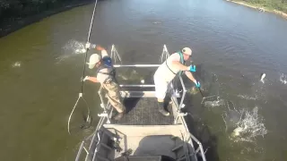 Michigan DNR Asian Carp Training - Illinois River 2015