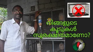 FINCHESന്റെ കൂട് എങ്ങനെ സജ്ജീകരിക്കണം || Best Indoor Cages For Finches || Cage Set Up For Finches