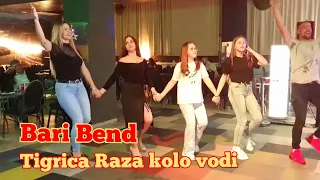 😻 Tigrica Raza kolo vodi - Noć bosanskog teferiča - Bari Bend - Hotel Heco Plus - Sarajevo