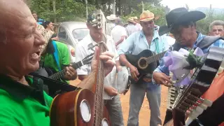 Folia de Reis Caconde