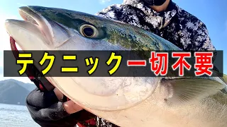 青物ルアーでは釣れないブリの簡単な釣り方がこれ【初心者向け】堤防ライトショアジギング