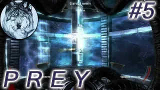 Prey (2006). Прохождение. Part 5. Восхождение – Центр тяжести. (no deaths)