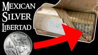 Opening a Roll of Mexican Silver Libertad Coins!