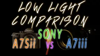 A Practical Sony a7iii vs Sony a7sii low light comparison: How does it render facial detail?