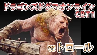 【実況】ドラゴンズドグマオンライン CBT1【VSトロール】