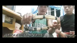 ANG BAKUS O HABAK NA GAMIT NG TROPANG HARING BAKAL MULA SA HANAY NI APONG LAKAY CHAPTER IMUS 007