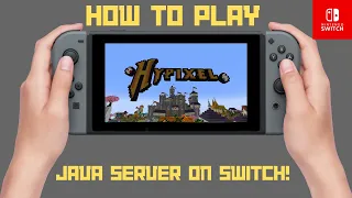 How to JOIN the java server on a NINTENDO SWITCH!  [2023+]