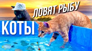 Кот, который любит воду 😸 Камышовый кот Вульф и чаузи Торви ловят рыбу 😼