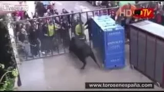 WTF of the Day, Don't mess with the bull