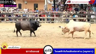 ขาวหินหงษ์vsโหนดฟ้าวันใหม่สิงห์เขาค่าย (หมูกขาว)