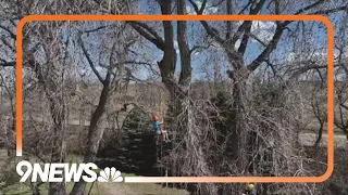 Tree climbing company hopes to take people's perspectives to new heights