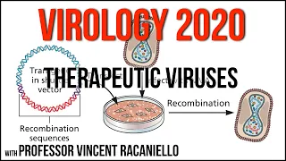 Virology Lectures 2020 #26: Therapeutic viruses
