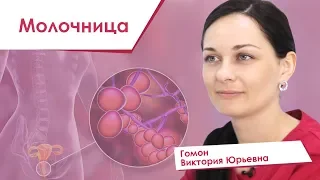 Опасна ли молочница и нужно ли ее лечить. Гомон Виктория Юрьевна. Адонис