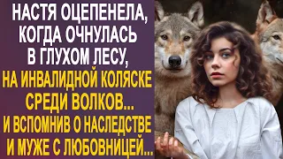 Настя оторопела, когда пришла в себя в глухом лесу среди волков. И вспомнив о муже и наследстве...