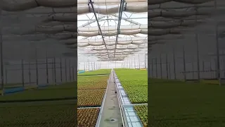 Young plants production under retractable roof