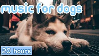 New Years Eve Dog Relaxation Music [For Loud Noises & Fireworks]