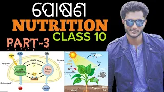 Nutrition(ପୋଷଣ) 10th class life science chapter-1 in odia | ଆଲୋକଶ୍ଳେଷଣ(PHOTOSYNTHESIS) full concept
