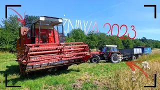 CIĘŻKI TRANSPORT ZBOŻA!? ŻNIWA 2023 Z REKORDEM🇵🇱ZETOR & BIZON🌾GR Krupa