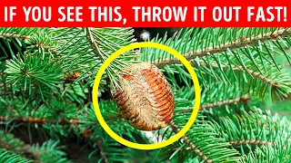 If You See This on Your Christmas Tree, Don't Touch It + Other Warnings