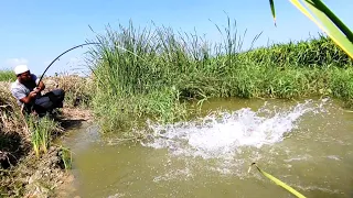 Unbelievable Fishing|BiG Fish Catching BiG Hook|Grass carp fish Catching|Cat Fishing|Baam Fishing