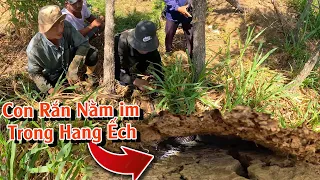 Bất ngờ tìm được con Rắn nằm im trong hang Ếch | TGSB #862