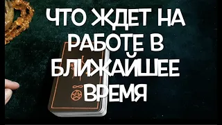 Моя РАБОТА🔔 Что сейчас и какое будущее /Гадание на Таро он-лайн Fortune-telling@TianaTarot