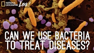 Can We Use Bacteria to Treat Diseases? | Nat Geo Live