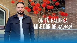 Onita Halunga - MI-E DOR DE ACASA