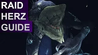 Destiny 2 Forsaken: Riven Herz Letzter Wunsch Raid Guide (Deutsch/German)