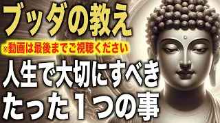 人生で本当に大切にすべきことはたった１つ｜ブッダの教え