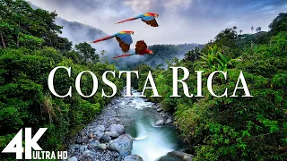 Costa Rica Rainforest 4k - Happiest Country On Earth With Exotic Wildlife | Scenic Relaxation Film